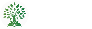 DSP International School